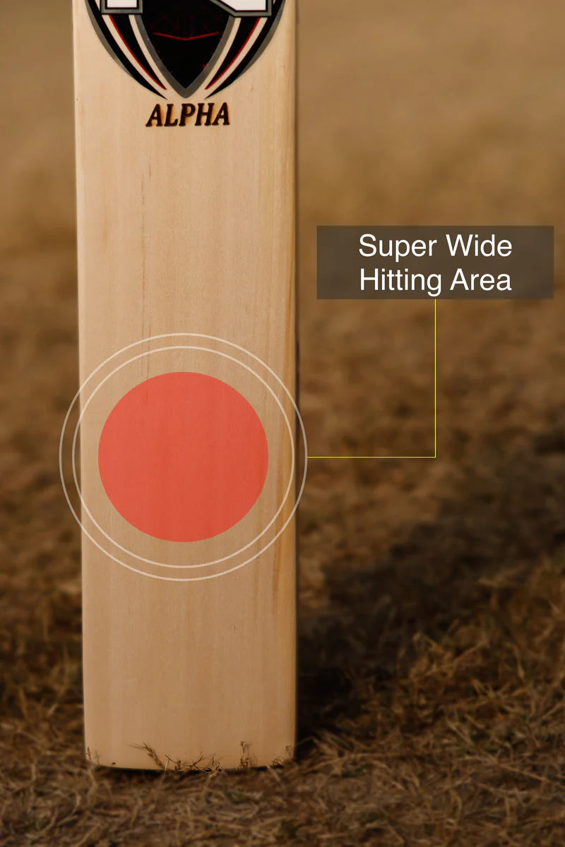 ZAP Alpha – Kashmir Willow Cricket Bat (Adult)