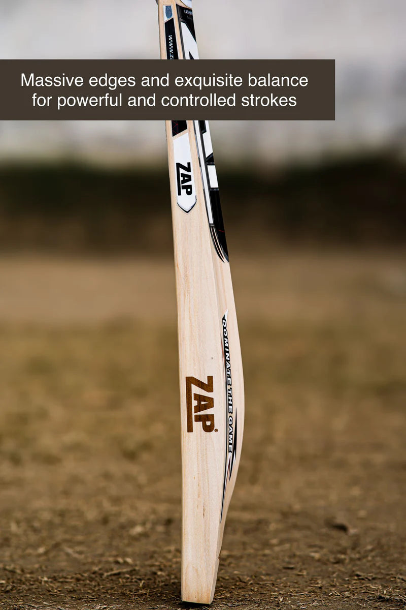 ZAP Alpha – Kashmir Willow Cricket Bat (Adult)